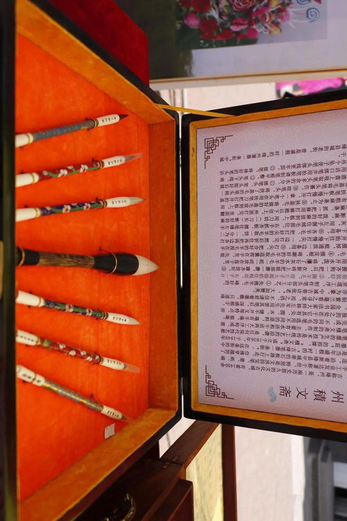 技能 讓生活更美好 2021年新絳縣職業教育活動周啟動